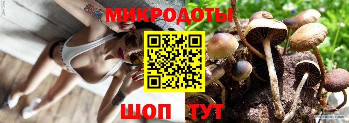 Галлюциногенные грибы Magic Shrooms  Галлюциногенные грибы Cubensis  Вход с VPN  Кропоткин 