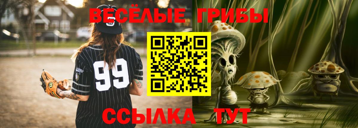 Псилоцибиновые грибы мицелий Кропоткин